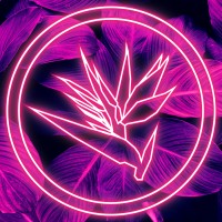 Brands Of Paradise