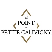 The Point at Petite Calivigny logo - Similar company to Transiciel