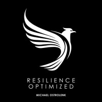 Resilience Optimized logo - Similar company to Sixth Wing, Llc