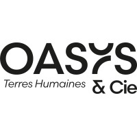 OasYs Consultants logo - Similar company to Alerys