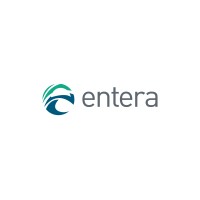 ENTERA TURKIYE logo - Similar company to Cydets