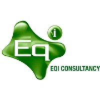 Eqi Consultancy Ltd logo