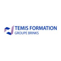TEMIS FORMATION logo - Similar company to Métamorphoses