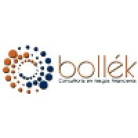 Bollek S.A.S. logo - Similar company to Rbk Ingeniería Srl