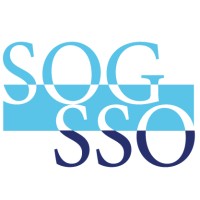 Swiss Society of Ophthalmology (SSO) logo - Similar company to Visavi - Instruments Suisses