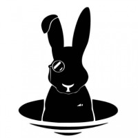 Rabbit Hole Computing