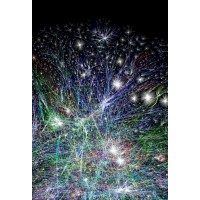 Mycelium Networks