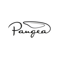 Pangea Srl logo - Similar company to Anaxum