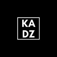 kadz logo - Similar company to Kadzmoney.Com