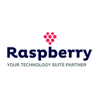 Raspberry IT Services logo - Similar company to Opentec Systems