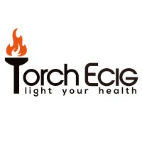 Shenzhen Torch Technology co., ltd logo - Similar company to Lightx Technology