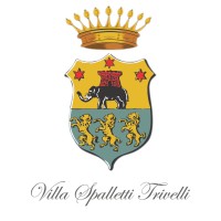 Villa Spalletti Trivelli logo - Similar company to Jain Diamond