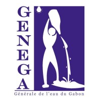 GENEGA logo - Similar company to Ve Interface