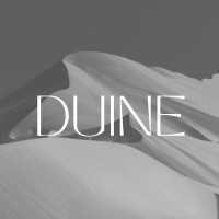 DUINE Consulting logo - Similar company to Debunk