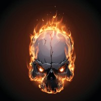 SkullLabs logo - Similar company to Controler
