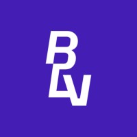 BLV Advisory Group logo - Similar company to Conebuild
