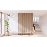 Atidiv privated Limited logo - Similar company to Euphoric Group