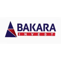 Bakara Invest logo - Similar company to Pencil Studio