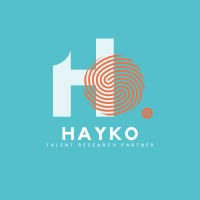 HAYKO logo - Similar company to Solutis+