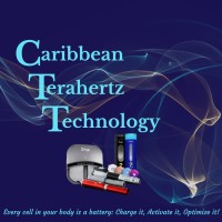 Caribbean Terahertz Technology logo - Similar company to Bric