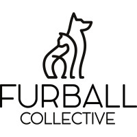 FurballCo logo - Similar company to Nom.Singapore