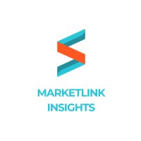MarketLink Insights logo - Similar company to Retaileye Analytics