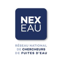 NEXEAU Recherche de fuites, Foix (Occitanie) logo - Similar company to Fée De Beaux Rêves