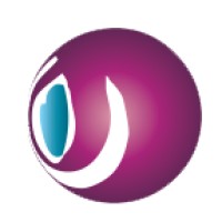 Brainlogic logo - Similar company to Logic Brain Solutions