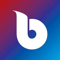 Bubba Design logo - Similar company to Agencia Paradigma 2.0