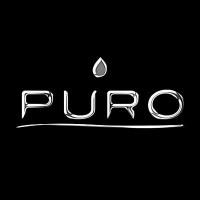 PURO logo - Similar company to Telesystem