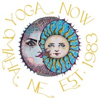 Yoga Now logo - Similar company to Anthem Capital Group