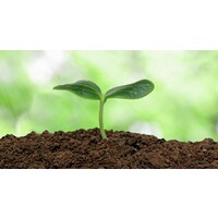 ONG GRED logo - Similar company to Yawoa Foundation