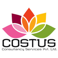 Costus Consultancy Services Private Limited logo - Similar company to Think Digital