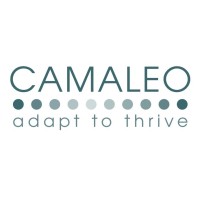 Camaleo Limited