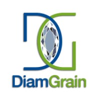 DIAMGRAIN SPA logo - Similar company to Epe Sersid Spa