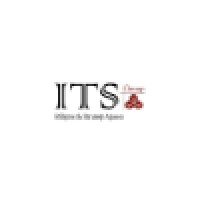 ITS Group Bilişim ve Strateji Ajansı