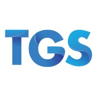 The Good Sight logo - Similar company to Invest-India.Com