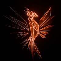Phoenix Ignited logo - Similar company to Dm.Studio
