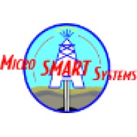 Micro-Smart Systems logo - Similar company to Well Robotic