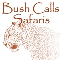 Bush Calls Safaris logo - Similar company to N'Tee Safaris And Tours
