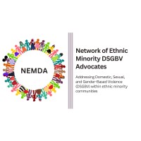 Network of Ethnic Minority DSGBV Advocates logo - Similar company to Gzeeb