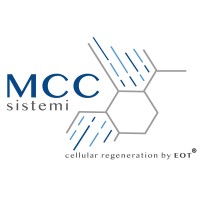 MCC Sistemi Srl logo - Similar company to Ices-Ebm Srl