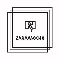 Zaraasocho logo - Similar company to Digitalboostup