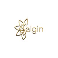 Elgin Koçluk & Eğitim & Danışmanlık logo - Similar company to Efs Master Eğitim Danışmanlık & Araştırma