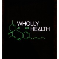 Wholly Health, LLC logo - Similar company to Why Go Project