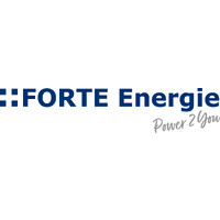 FORTE Energie GmbH & Co.KG logo - Similar company to Dito - Deutsches Institut Für Talent- & Organisationsentwicklung E.V.