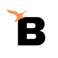 Baaj Consulting logo - Similar company to Bookkeeper Buddy