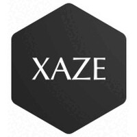 XAZE Investment & Holding ApS logo - Similar company to Dacamex