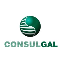 Consulgal Consultores de Engenharia e Gestao, S.A. - Sucursal del Perú logo - Similar company to Consulgal - Consultores De Engenharia E Gestão, S.A.