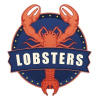 Lobsters Wiser Team logo - Similar company to Arvoo